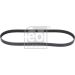 FEBI BILSTEIN 38446 Keilrippenriemen