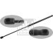 FEBI BILSTEIN 30879 Gasfeder, Motorhaube