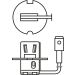 BOSCH Glühlampe, Fernscheinwerfer Pure Light WS 1 987 302 031