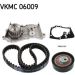 SKF Wasserpumpe + Zahnriemensatz VKMC 06009