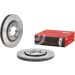 Brembo Bremsscheibe PRIME LINE - UV Coated 09.A302.11