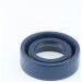 Dichtring 12010773B