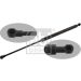 FEBI BILSTEIN 29979 Gasfeder, Koffer-/Laderaum