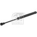 FEBI BILSTEIN 27734 Gasfeder, Koffer-/Laderaum