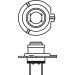 Glühlampe, Hauptscheinwerfer 1 987 301 426 Glühlampe, Hauptscheinwerfer 1 987 301 426