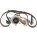 BOSCH Wasserpumpe + Zahnriemensatz 1 987 946 953 BOSCH Wasserpumpe + Zahnriemensatz 1 987 946 953