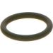 BOSCH Dichtring F 00R J01 605