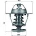 Mahle Thermostat, Kühlmittel BEHR TX 68 88D