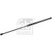 FEBI BILSTEIN 34422 Gasfeder, Koffer-/Laderaum
