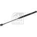 FEBI BILSTEIN 27905 Gasfeder, Koffer-/Laderaum