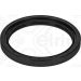 Elring Dichtring 342.093
