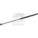 FEBI BILSTEIN 174988 Gasfeder, Koffer-/Laderaum