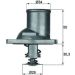 Mahle Thermostat, Kühlmittel BEHR TI 1 83