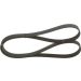 BOSCH Keilrippenriemen 1 987 946 241 BOSCH Keilrippenriemen 1 987 946 241