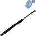Blue Print Gasfeder, Koffer-/Laderaum ADG05834