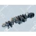 OE Germany Kurbelwelle 02 0300 286600 OE Germany Kurbelwelle 02 0300 286600