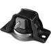 Tedgum Lagerung, Motor TED59889