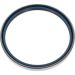 Dichtring 12001924B Dichtring 12001924B