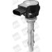 BorgWarner (BERU) Zündspule ZSE140