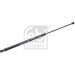 FEBI BILSTEIN 180358 Gasfeder, Koffer-/Laderaum