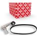 FEBI BILSTEIN 107424 Keilrippenriemensatz