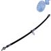 Blue Print Bremsschlauch ADT353237