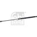 FEBI BILSTEIN 29261 Gasfeder, Heckscheibe