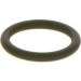 BOSCH Dichtring F 00R J01 605