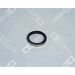 OE Germany Ventilsitzring 01 0123 500001 OE Germany Ventilsitzring 01 0123 500001