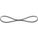 BOSCH Keilrippenriemen 1 987 946 081