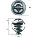 Thermostat, Kühlmittel TX 117 95D
