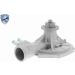 Vaico Wasserpumpe Expert Kits + V40-50050