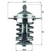 Mahle Thermostat, Kühlmittel BEHR TX 70 82