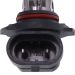 Glühlampe, Nebelscheinwerfer 78-0143 Glühlampe, Nebelscheinwerfer 78-0143