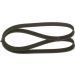 BOSCH Keilrippenriemen 1 987 947 972