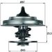 Thermostat, Kühlmittel TX 18 75D Thermostat, Kühlmittel TX 18 75D