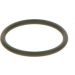 BOSCH Dichtring F 00V C38 042