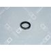 OE Germany Ventilsitzring 01 0123 900000 OE Germany Ventilsitzring 01 0123 900000