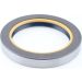 Dichtring 12001907B
