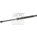 FEBI BILSTEIN 12641 Gasfeder, Motorhaube