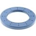 Dichtring 12003802B