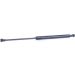 Gasfeder, Koffer-/Laderaum ML5694