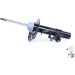 Stoßdämpfer C2507L Stoßdämpfer C2507L