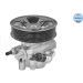 Hydraulikpumpe, Lenkung 30-14 631 0008 Hydraulikpumpe, Lenkung 30-14 631 0008