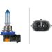 Glühlampe, Nebelscheinwerfer 8GH 223 498-141 Glühlampe, Nebelscheinwerfer 8GH 223 498-141