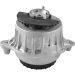 Tedgum Lagerung, Motor TED98110