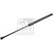 FEBI BILSTEIN 23388 Gasfeder, Koffer-/Laderaum