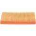 BOSCH 1 457 433 255 Luftfilter