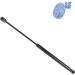 Blue Print Gasfeder, Motorhaube ADG05814