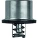 Mahle Thermostat, Kühlmittel BEHR TX 37 79